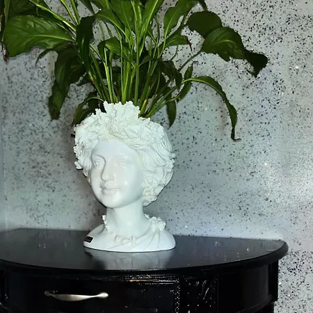 Appartement Diamond Lux