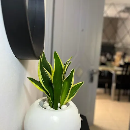 Lägenhet Diamond Lux