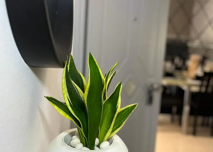 Apartment Diamond Lux